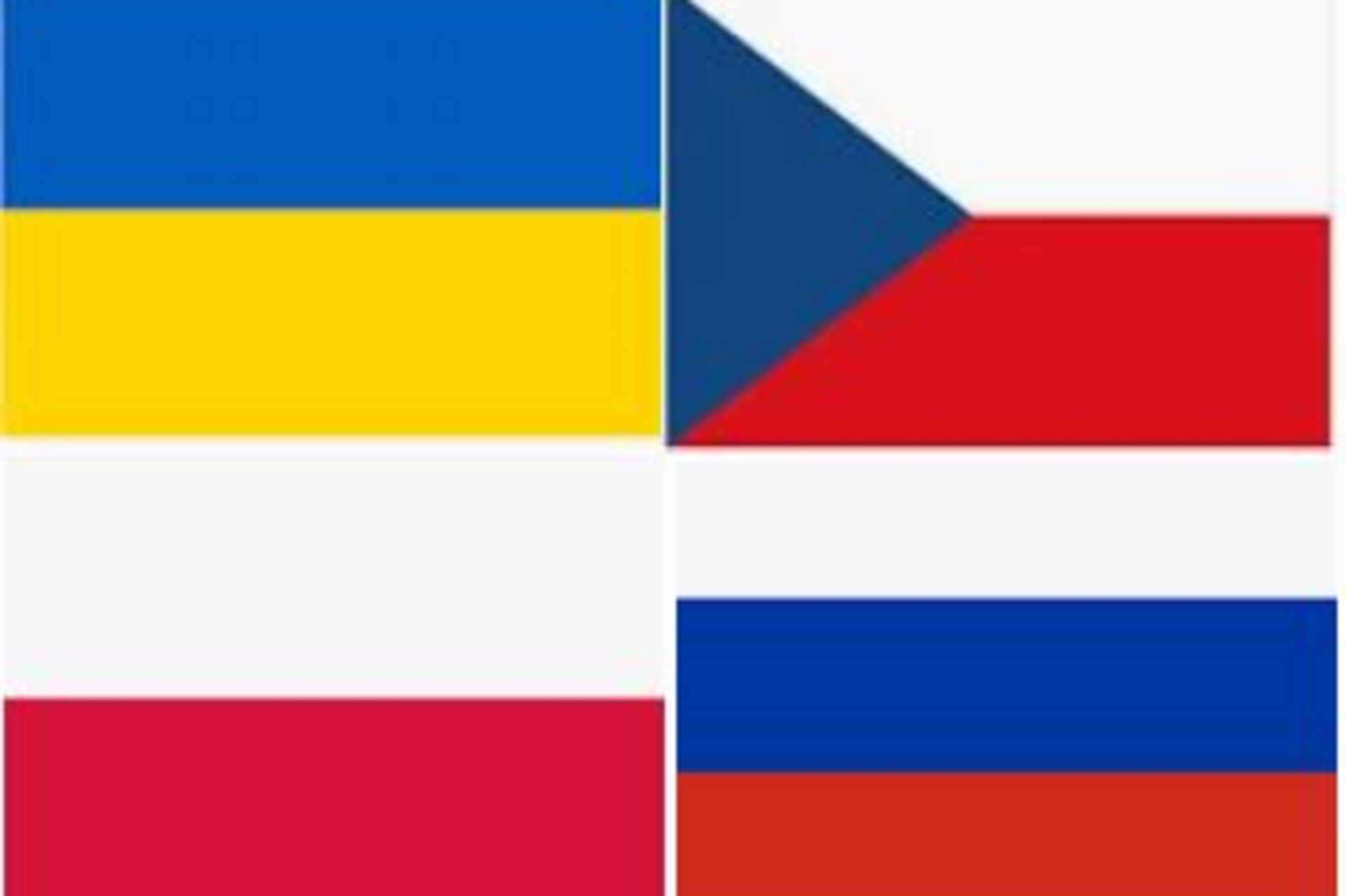 Erste Hilfe Kurs in Ukrainisch, Polnisch, Tschechisch, Russisch