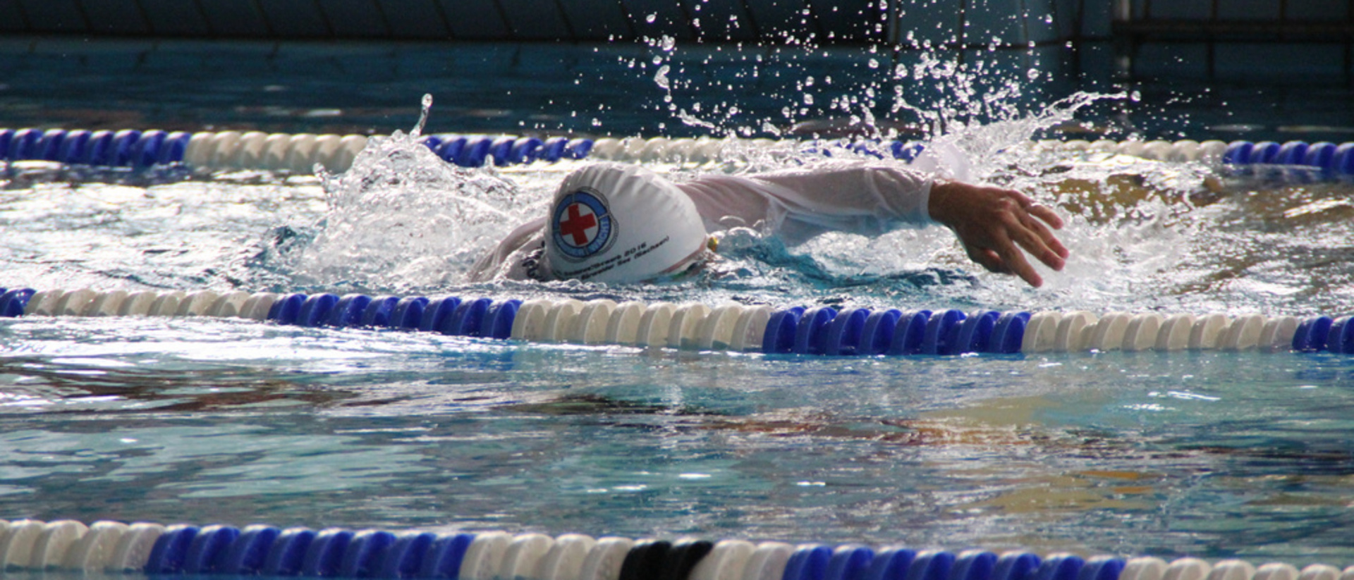Schwimmer